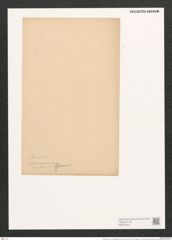 Nitzschia linears "var. intercedens" Grunow (de-Toni-Nr.: Genus 47, Species 2111) Zeichnungen Sammlung Grunow (NHMW-BOT-W0372164)